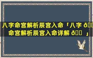 八字命宫解析辰宫入命「八字 🌾 命宫解析辰宫入命详解 🐠 」